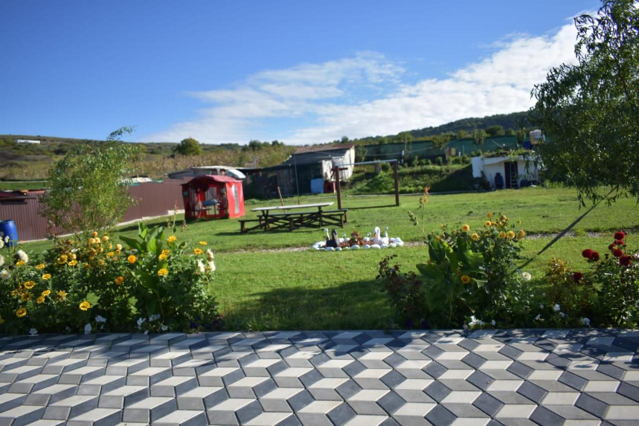 Bbs Residence Kaloşvar Dış mekan fotoğraf