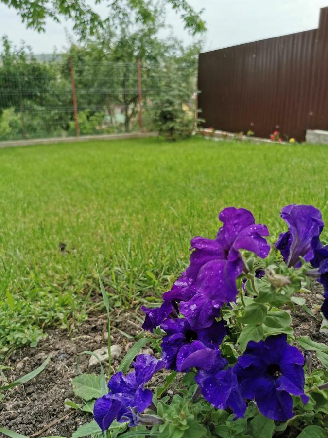 Bbs Residence Kaloşvar Dış mekan fotoğraf