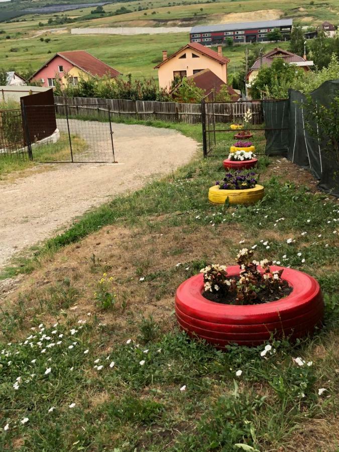 Bbs Residence Kaloşvar Dış mekan fotoğraf