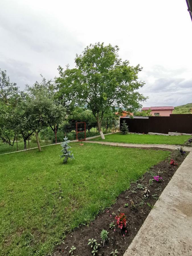 Bbs Residence Kaloşvar Dış mekan fotoğraf